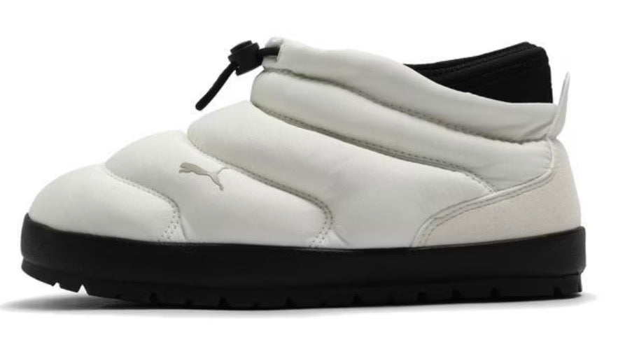 Puma winter low