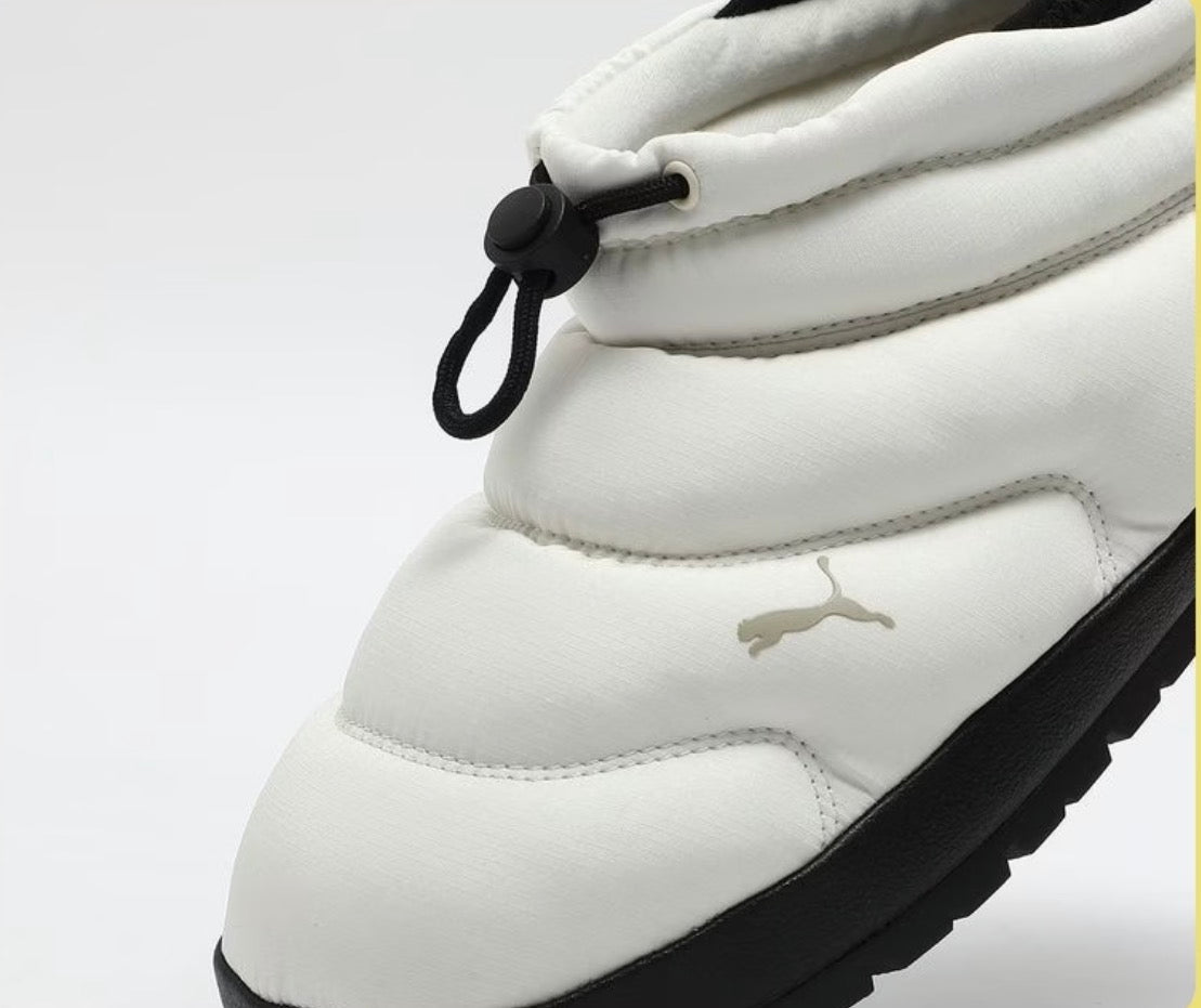 Puma winter low